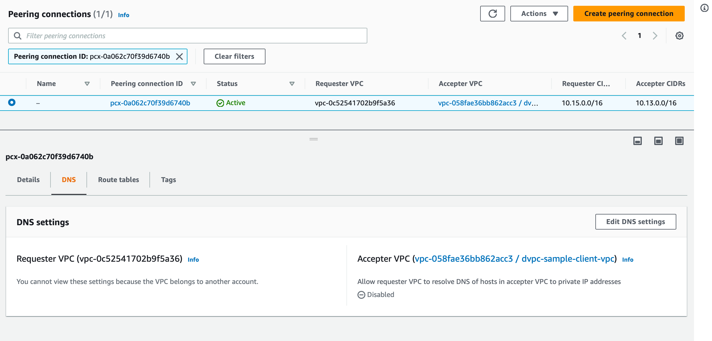 Enable dns resolution 1